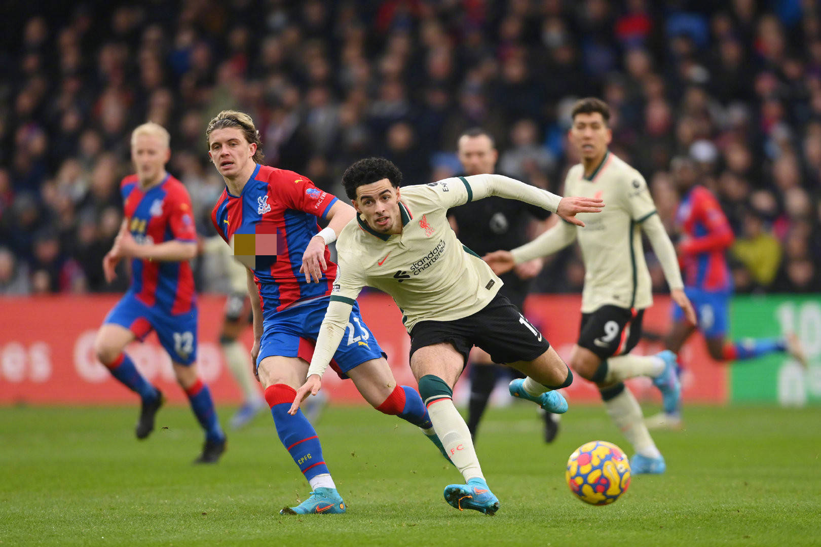 与社交影响 与社交影响