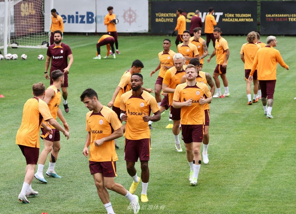 他们凭借 他们凭借